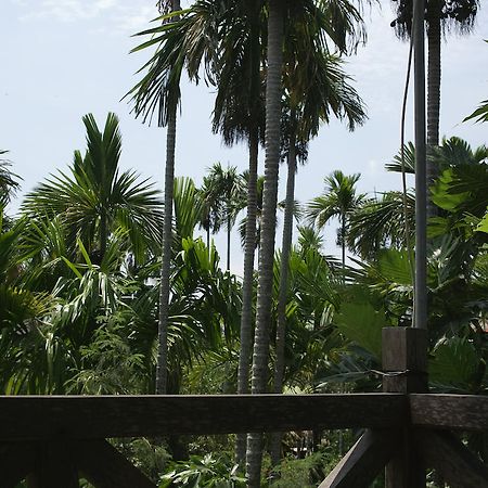Lila Homestay Hội An Extérieur photo