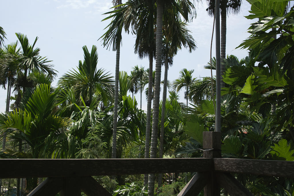Lila Homestay Hội An Extérieur photo