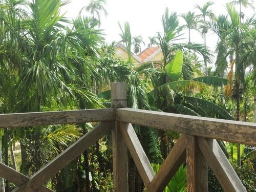 Lila Homestay Hội An Extérieur photo